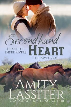 Cover of the book Secondhand Heart by Holly Rayner