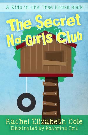 Cover of the book The Secret No-Girls Club by Kyle Timmermeyer