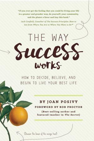 Cover of the book The Way Success Works: How to Decide, Believe, and Begin to Live Your Best Life by Matt Powell
