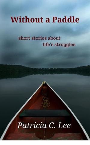 Cover of the book Without a Paddle : short stories about life's struggles by Paul Peerdeman