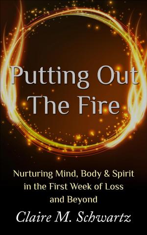 Cover of the book Putting Out the Fire by Heather Easton