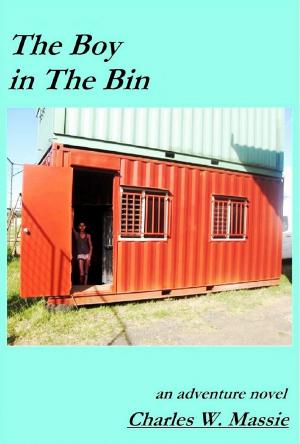 Cover of The Boy in The Bin
