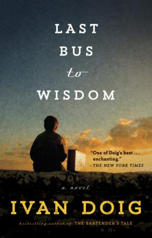 Cover of the book Last Bus to Wisdom by Catherine Anderson