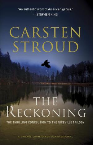 Cover of the book The Reckoning by Caitlin Macy