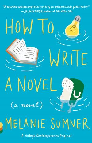 Cover of the book How to Write a Novel by Patricio Pron