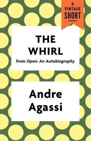Cover of the book The Whirl by Nick Price