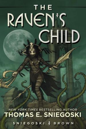 Book cover of The Raven's Child