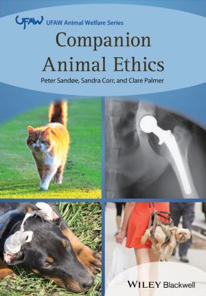 Cover of the book Companion Animal Ethics by Ryan Duell, Tobias Hathorn, Tessa Reist Hathorn