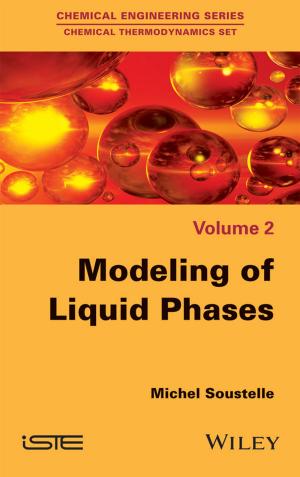 Cover of the book Modeling of Liquid Phases by William Outhwaite