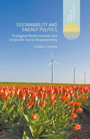 Cover of the book Sustainability and Energy Politics by J. Flowerdew