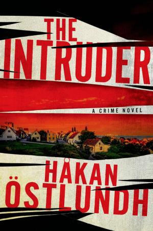 Cover of the book The Intruder by Newt Gingrich, William R. Forstchen, Albert S. Hanser