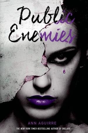 Cover of the book Public Enemies by Ann Aguirre