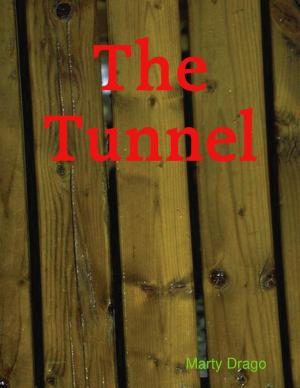 Cover of the book The Tunnel by Dr S.P. Bhagat