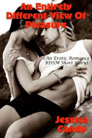 Book cover of An Entirely Different View Of Pleasure (An Erotic Romance BDSM Short Story)
