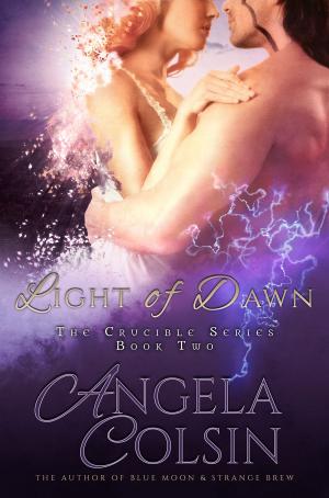 Cover of the book Light of Dawn (The Crucible Series Book 2) by Vanessa G. Streep