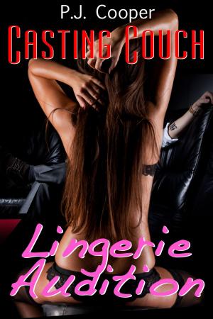 Cover of Casting Couch: LIngerie Audition (Book 1)