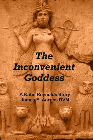 Cover of the book The Inconvenient Goddess by D.D. Charles