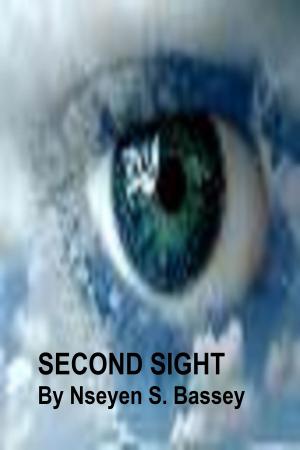 Cover of the book Second Sight by Willa Jemhart