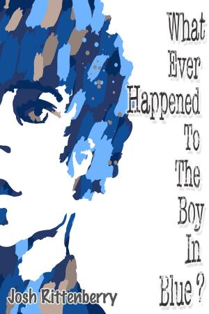 Cover of the book What Ever Happened to the Boy in Blue? by TL Schaefer