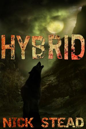 Cover of the book Hybrid by Ian Sandusky