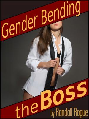 Cover of the book Gender Bending the Boss by Samantha Squire