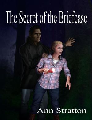 Cover of the book The Secret of the Briefcase by Ken Oder