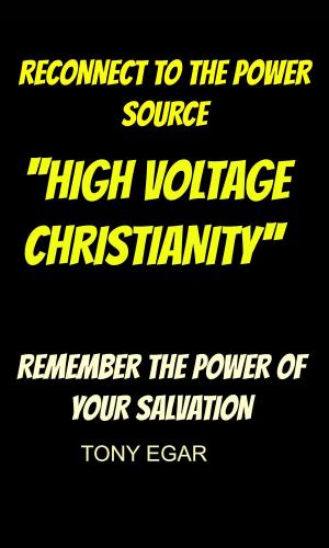 bigCover of the book High Voltage Christianity by 
