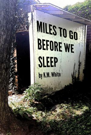 bigCover of the book Miles To Go Before We Sleep by 