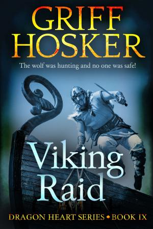 Book cover of Viking Raid