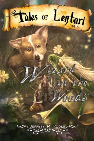 Cover of the book Wizard in the Woods by Florent Martin