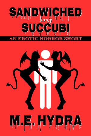 Cover of the book Sandwiched by Succubi by Adrian Peters