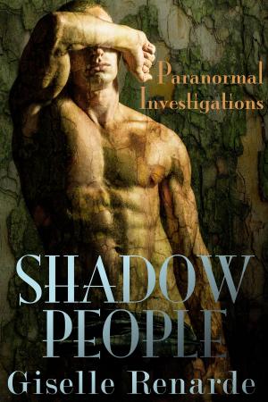 Cover of the book Shadow People: Paranormal Investigations by H.D. Timmons
