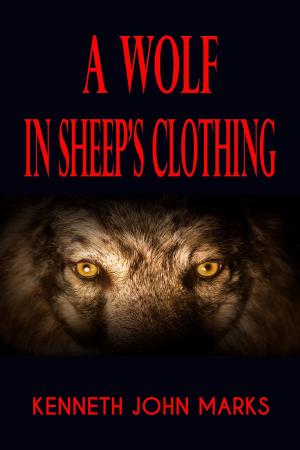Cover of the book A Wolf in Sheep's Clothing by Jennifer Littman