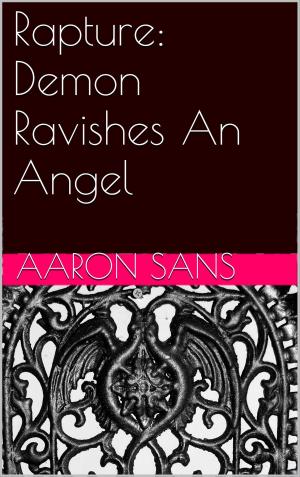 Cover of the book Rapture: Demon Ravishes An Angel by Dustina Canez