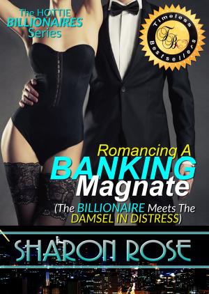 Book cover of The Hottie Billionaires Series: Romancing A Banking Magnate Book 1 (The Billionaire Meets The Damsel In Distress)