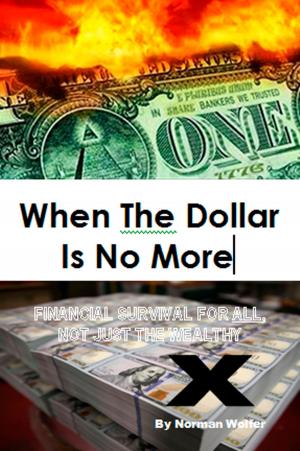 Cover of the book When The Dollar Is No More: Financial Survival For All, Not Just The Wealthy by James King
