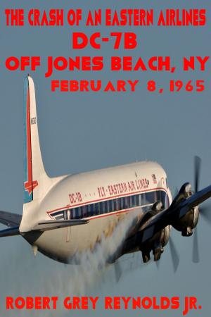 bigCover of the book The Crash of Eastern Air Lines Flight 663 February 8, 1965 by 