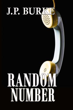 Cover of the book Random Number by Donna Zadunajsky
