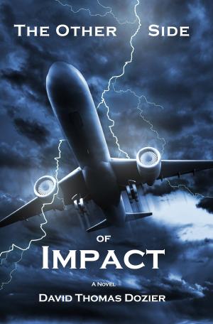 Cover of the book The Other Side of Impact by Brian Shepp