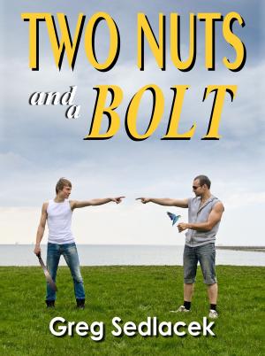 Cover of the book Two Nuts and a Bolt by Robert Carranza