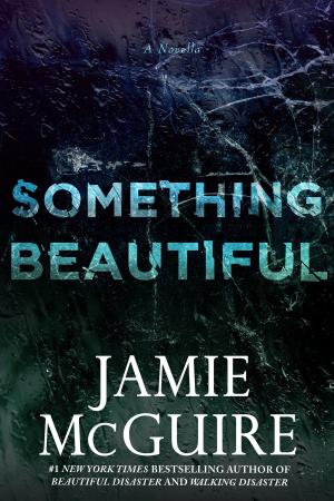 Cover of Something Beautiful: A Novella