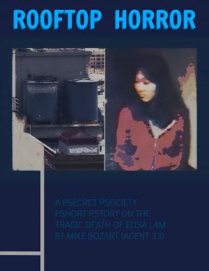 Book cover of Rooftop Horror