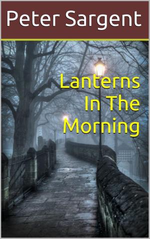Book cover of Lanterns In The Morning