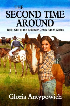 Cover of the book The Second Time Around by Jessica Eissfeldt