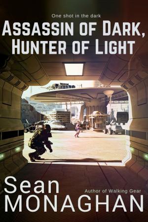 Book cover of Assassin of Dark, Hunter of Light