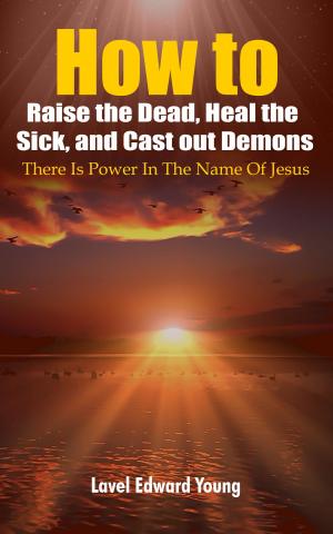 Book cover of How to Raise the Dead, Heal the Sick, and Cast out Demons