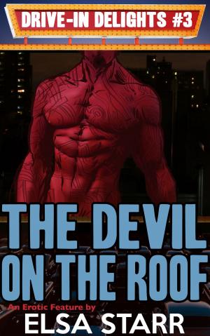 Cover of the book The Devil On The Roof by Buffy Christopher-Vincent