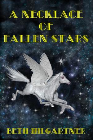 Cover of A Necklace of Fallen Stars