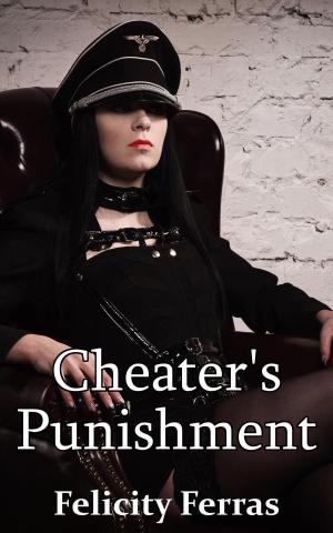 Cover of the book Cheater's Punishment by Felicity Ferras