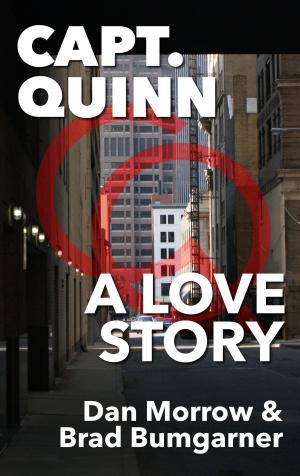 Book cover of Capt. Quinn: A Love Story